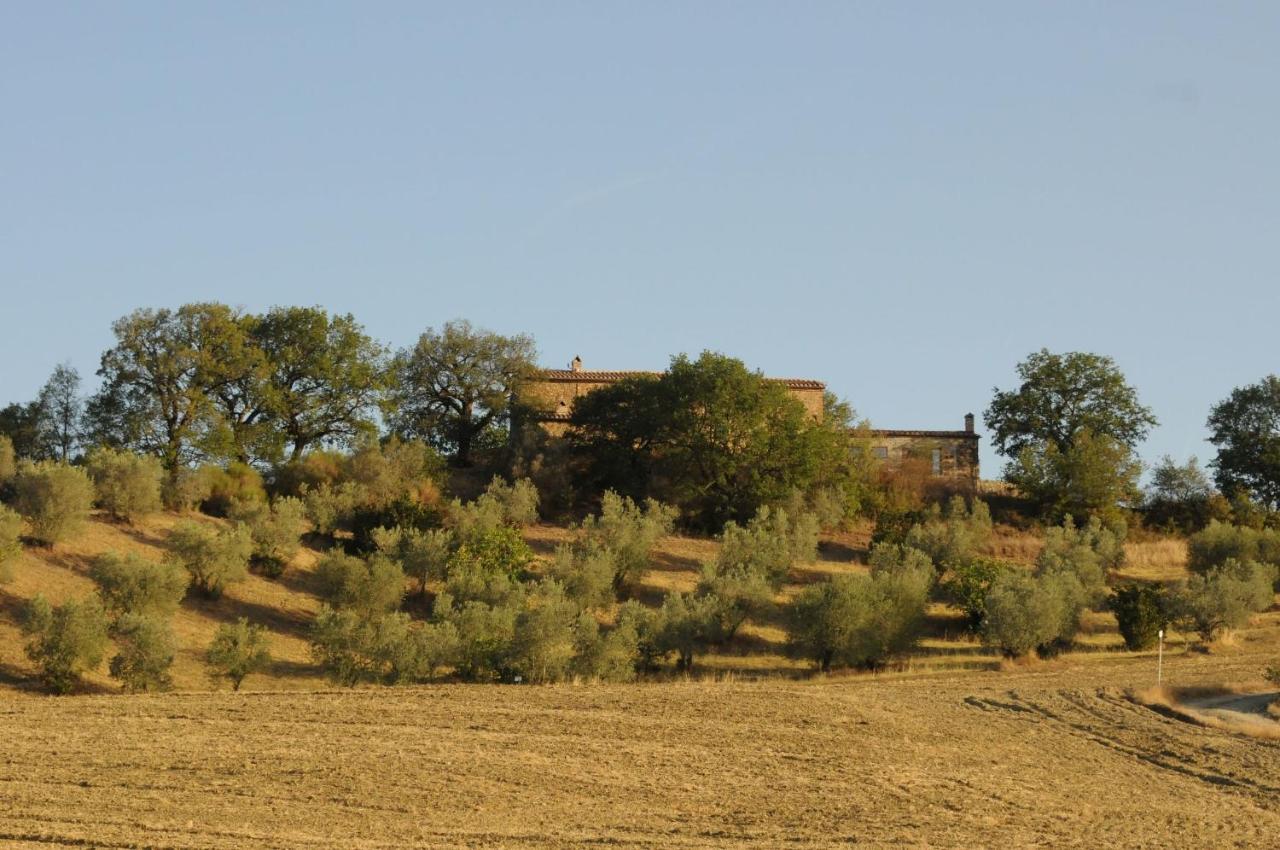 Podere Palazzo Castiglione dʼOrcia Extérieur photo